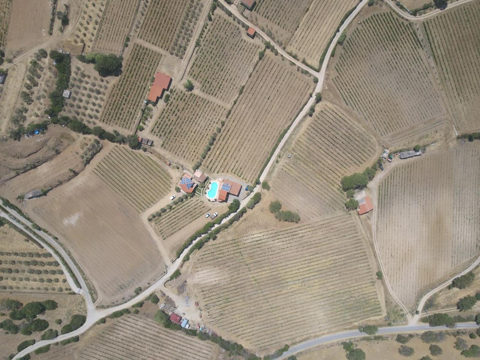 Agriturismo B&B Domo De Resteblas Berchidda Eksteriør bilde