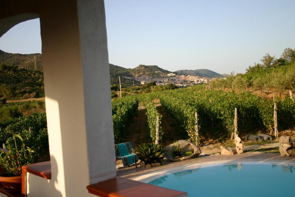 Agriturismo B&B Domo De Resteblas Berchidda Eksteriør bilde
