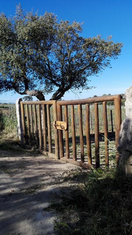 Agriturismo B&B Domo De Resteblas Berchidda Eksteriør bilde