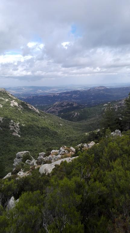 Agriturismo B&B Domo De Resteblas Berchidda Eksteriør bilde