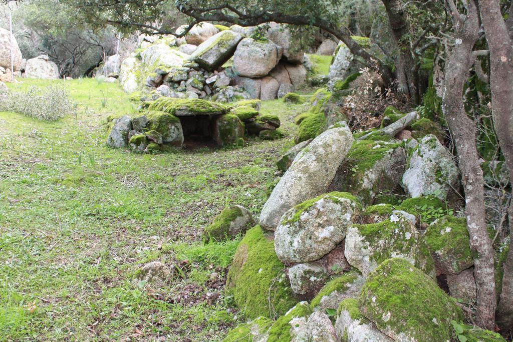 Agriturismo B&B Domo De Resteblas Berchidda Eksteriør bilde