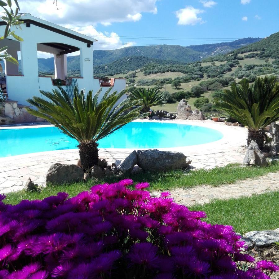 Agriturismo B&B Domo De Resteblas Berchidda Eksteriør bilde