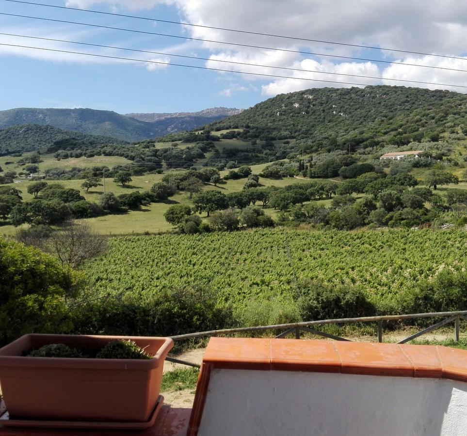 Agriturismo B&B Domo De Resteblas Berchidda Eksteriør bilde