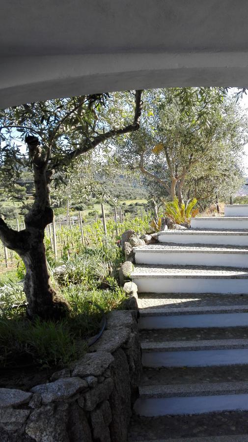 Agriturismo B&B Domo De Resteblas Berchidda Eksteriør bilde
