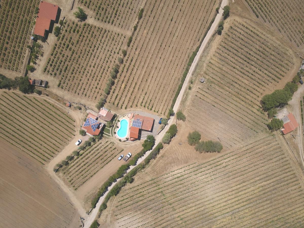 Agriturismo B&B Domo De Resteblas Berchidda Eksteriør bilde
