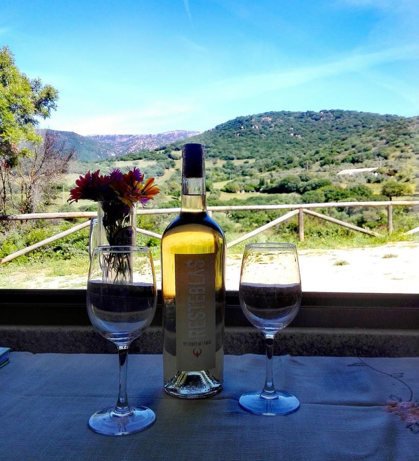 Agriturismo B&B Domo De Resteblas Berchidda Eksteriør bilde